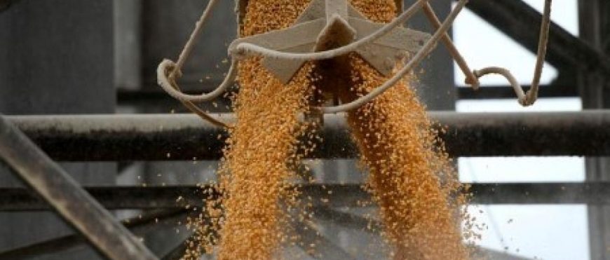 Exportaciones de maíz de Brasil en septiembre desde Paranagua se disparan