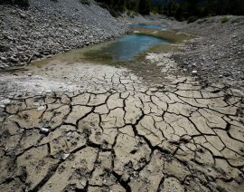 Las temperaturas aumentan mientras Francia aborda su peor sequía registrada