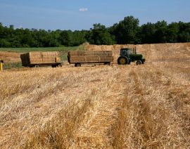 Estados Unidos registra un mínimo de exportación de 40 años en trigo