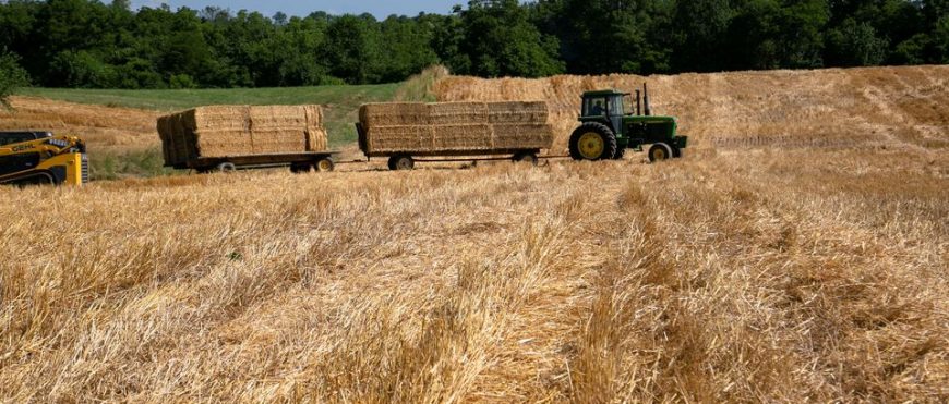 Estados Unidos registra un mínimo de exportación de 40 años en trigo