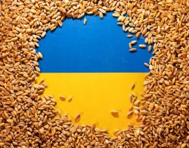 Las exportaciones de granos de Ucrania disminuyen un 30.7% en lo que va de 2022/23