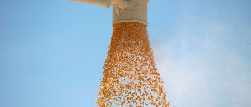 Identificando posibles sorpresas de maíz y soya en Estados Unidos antes del informe del USDA