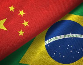 China firma protocolo para importación de maíz brasileño