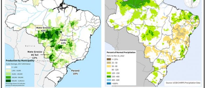 Maíz de Brasil: se anticipa producción y área récord para Safrinha