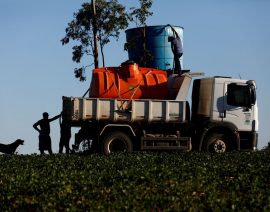 Brasil espera una cosecha récord de trigo para 2022 de 9 millones de toneladas