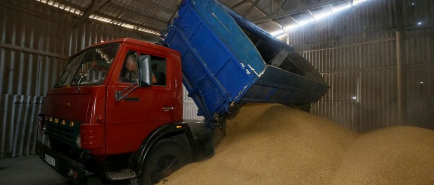 La escasez de almacenamiento de granos en Ucrania se suma a los problemas de los agricultores