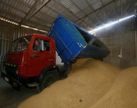 Casi 25 millones de toneladas de grano atrapadas en Ucrania