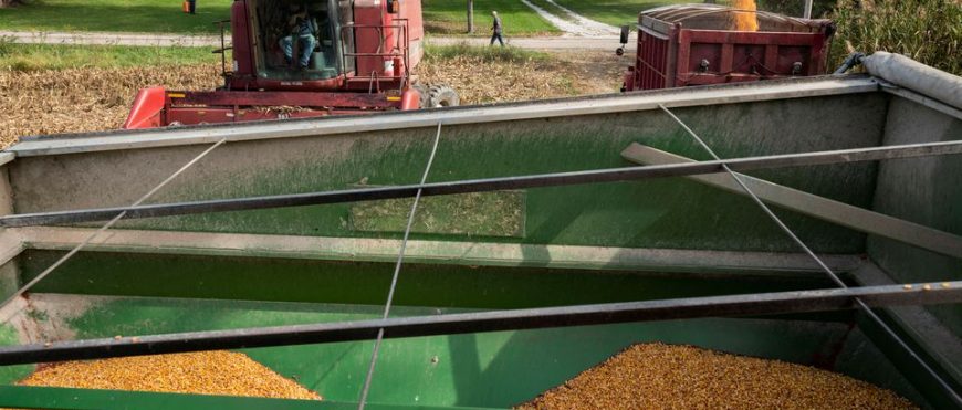 La administración Biden estudia si la exención de biocombustibles podría aliviar la inflación de los alimentos