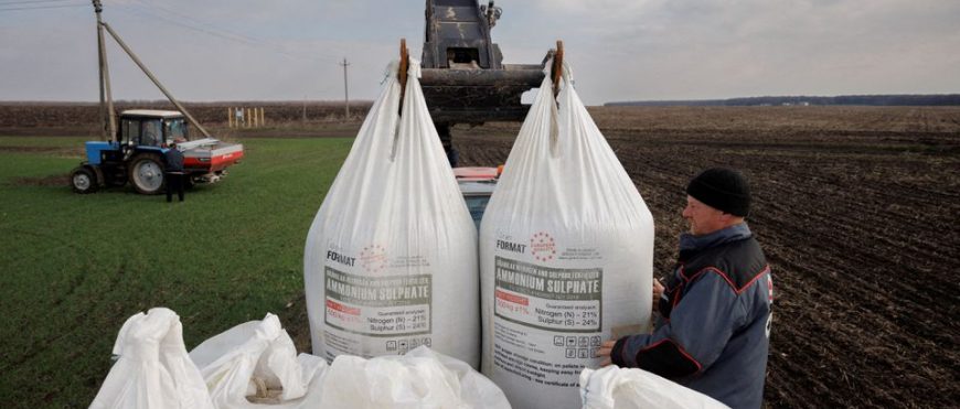 Los costos de los fertilizantes podrían prolongar las tensiones alimentarias mundiales – FAO