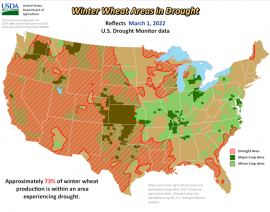 La zona de sequía de trigo de invierno se mantiene estable