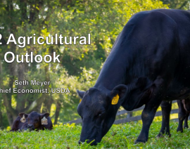 Las perspectivas para 2022 para la agricultura de Estados Unidos del economista jefe del USDA. (Outlook 2022)