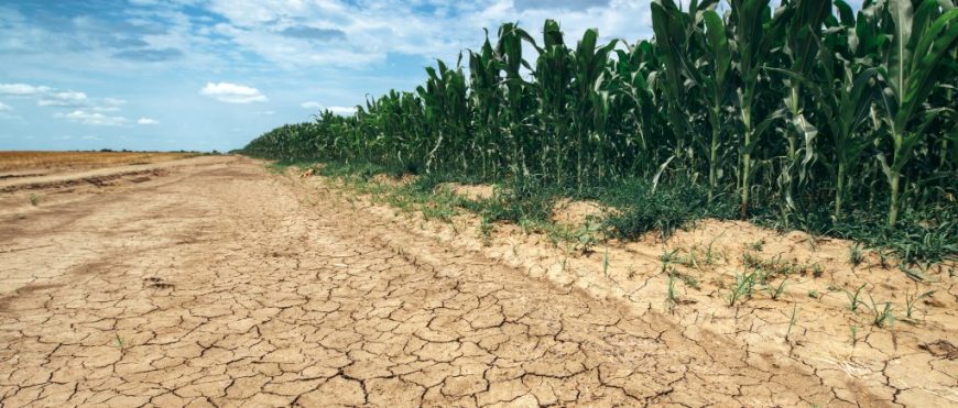 Inicio de emergencia por ocurrencia de sequía severa, extrema o excepcional en cuencas para el año 2022.