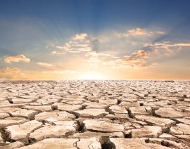 Monitor de sequía al 31 de julio de 2022