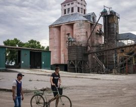 Los agricultores de Ucrania comienzan la cosecha con pocos lugares para almacenar granos