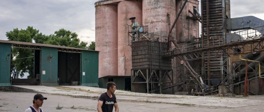 Los agricultores de Ucrania comienzan la cosecha con pocos lugares para almacenar granos