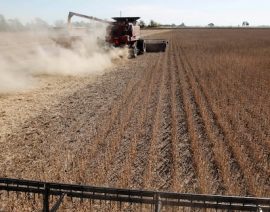La disparidad del USDA en los pronósticos de cosechas de Brasil se extiende a Argentina