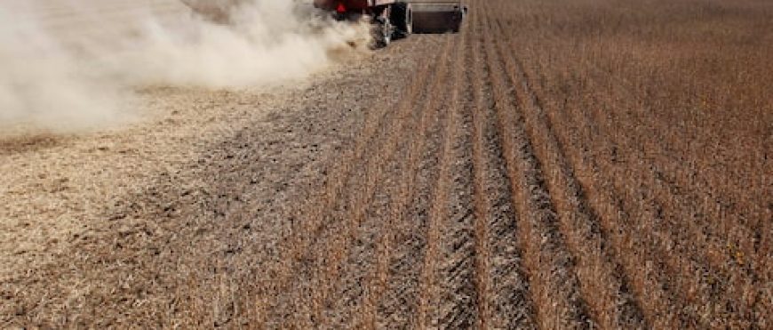 La disparidad del USDA en los pronósticos de cosechas de Brasil se extiende a Argentina