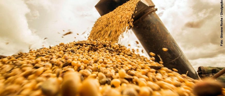Los precios de la soya suben a medida que la sequía en América del Sur reduce el pronostico de producción