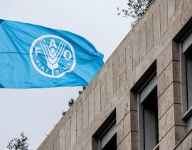 Informe de la FAO sobre los riesgos asociados al conflicto entre Rusia y Ucrania