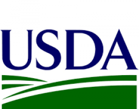 USDA espera más soya que maíz en 2022